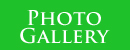 T-Shirt Printing Gallery